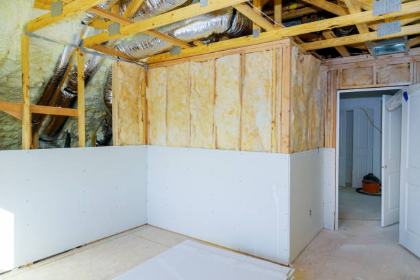 Best Eco-Friendly Insulation in Dahlgren, VA