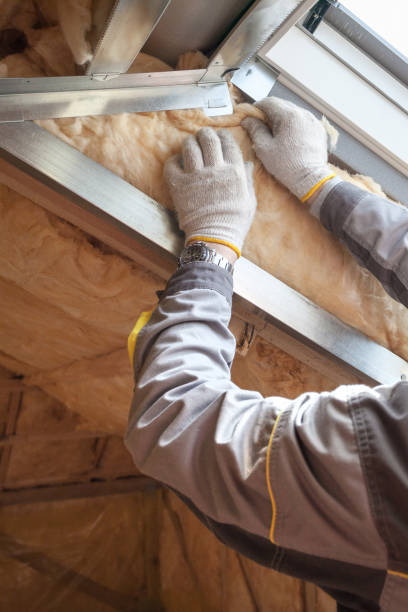 Best DIY Insulation Kits and Guidance in Dahlgren, VA